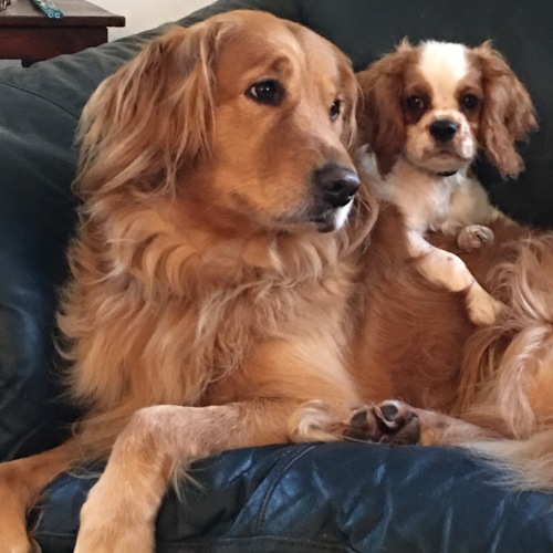 Annie with Finnegan